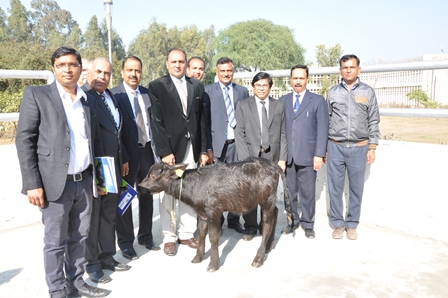 ICAR-CIRB become India’s second center to produce a cloned buffalo