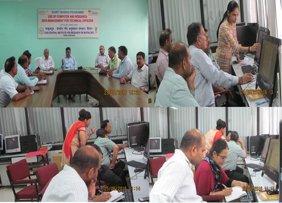 An In-House Training for Technical Officers under HRD