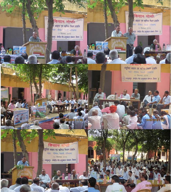 ICAR- CIRB Organised Kisan Gosthi & Balanced Feeding Demonstration at village Nimoth, Rewari on 13.09.2016ICAR- CIRB Organised Kisan Gosthi & Balanced Feeding Demonstration at village Nimoth, Rewari on 13.09.2016