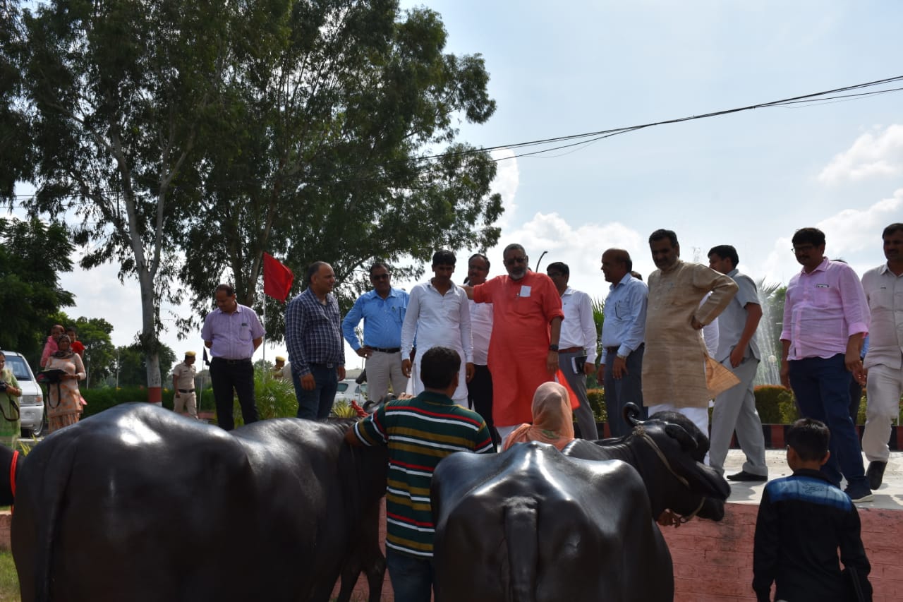 Visit of Sh. Giriraj Singh ji Hon'ble Minister of Fisheries, Animal  Husbandry & Dairying | Central Institute for Research on Buffaloes