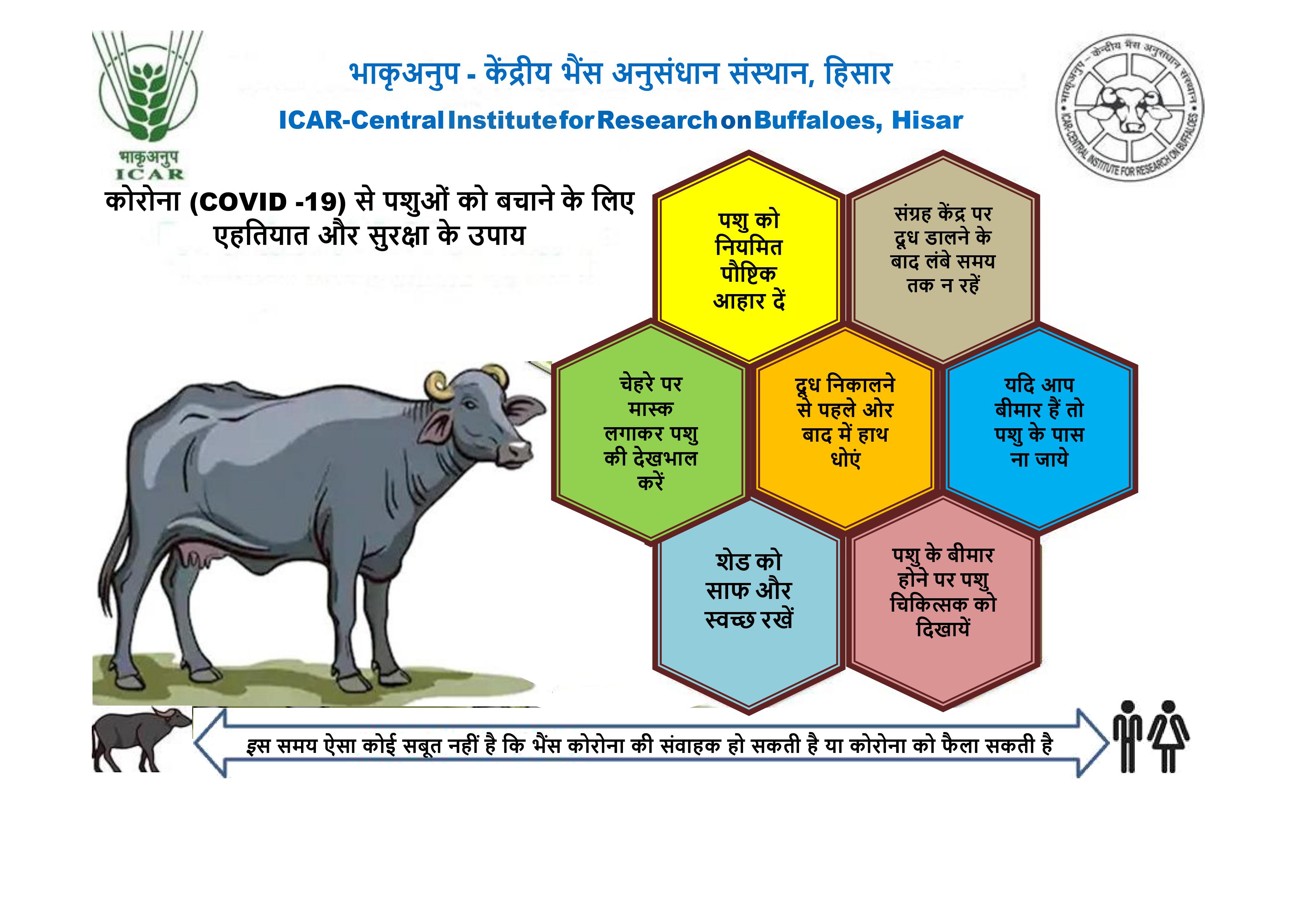 COVID -19 पर केंद्रीय भैंस अनुसंधान संस्थान द्वारा किसानो के लिए सलाह और सुझाव
