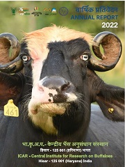 Annual report 2022